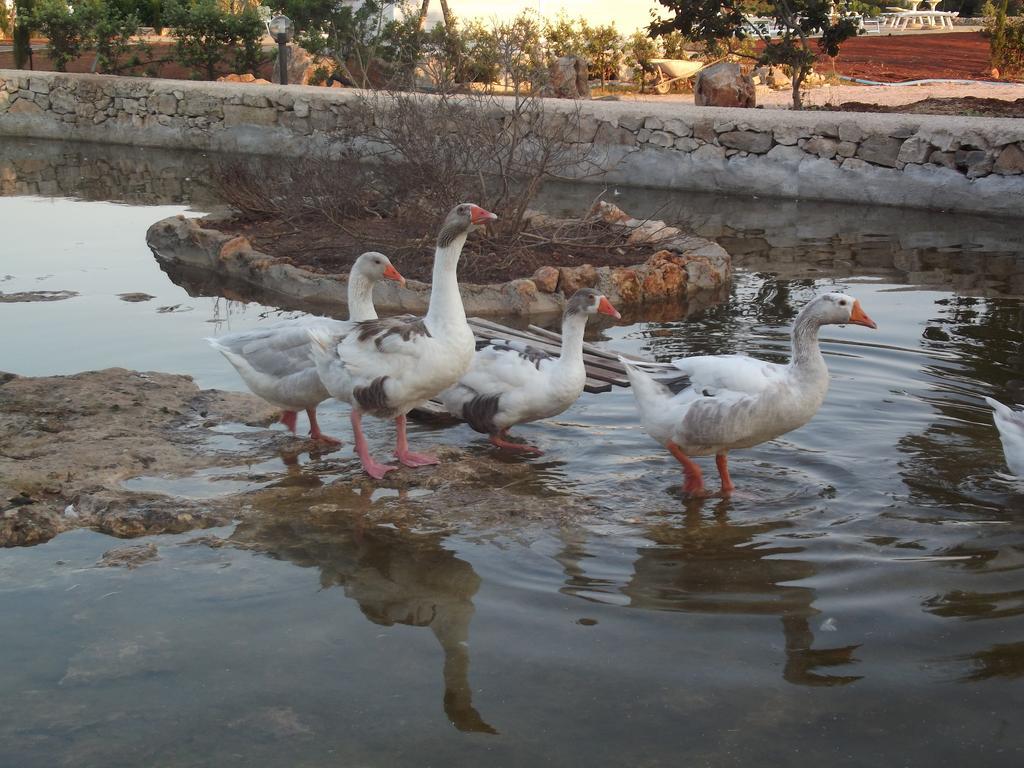 فيلا Torre Paliفي Agriturismo Zio Zac المظهر الخارجي الصورة